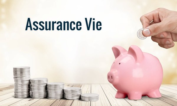 Comment investir sur une assurance-vie ?